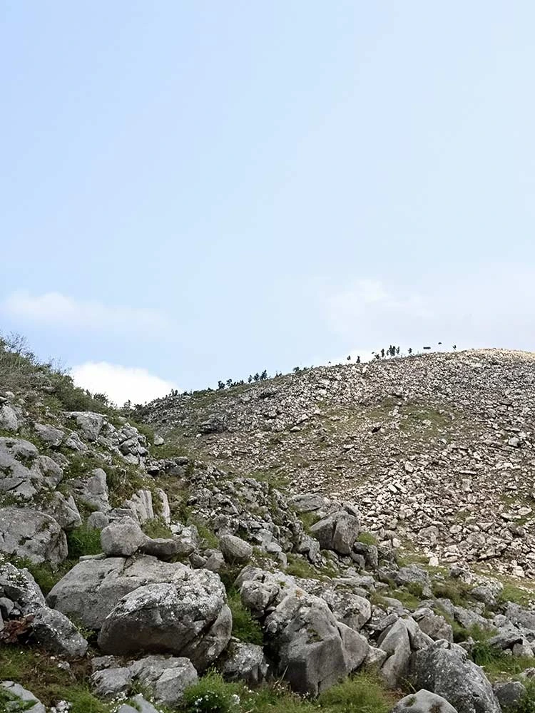 Harvesting Profit from Rocky Wasteland? Our Tech Grows Profit on Stone