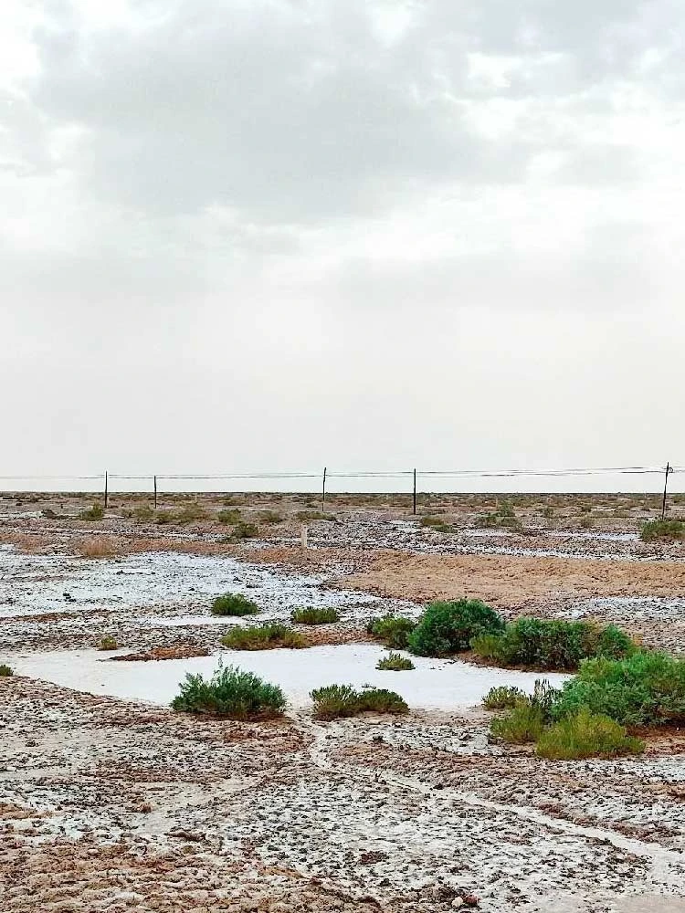 Salt Crystals are Killing Your Crops