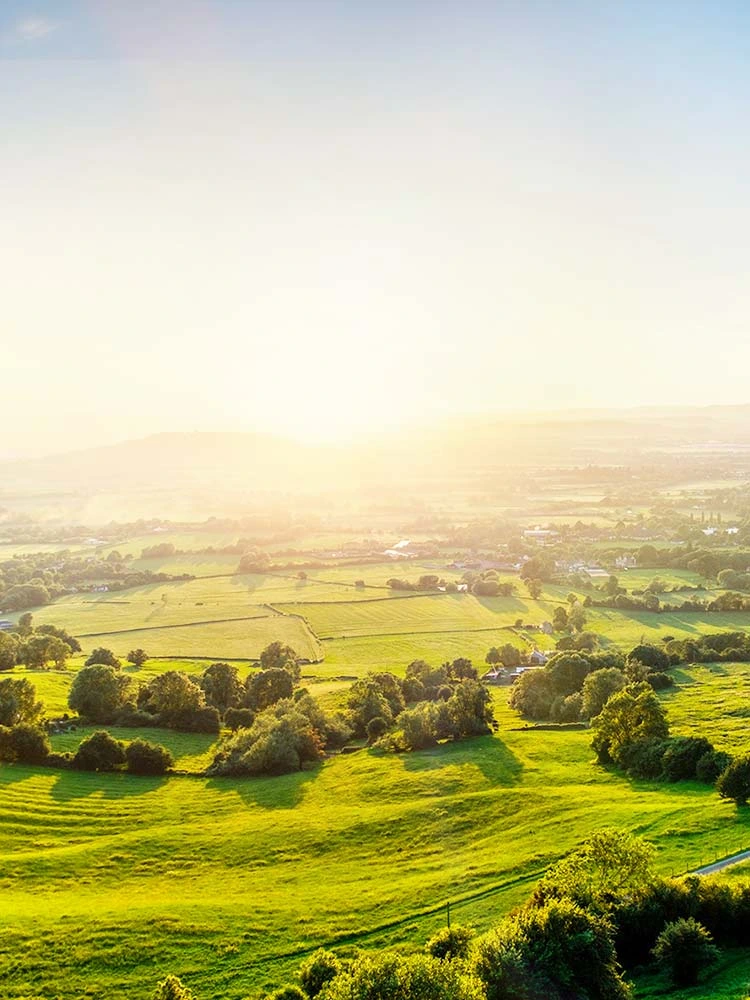 Deserts to Green Land in 50-70% Less Water