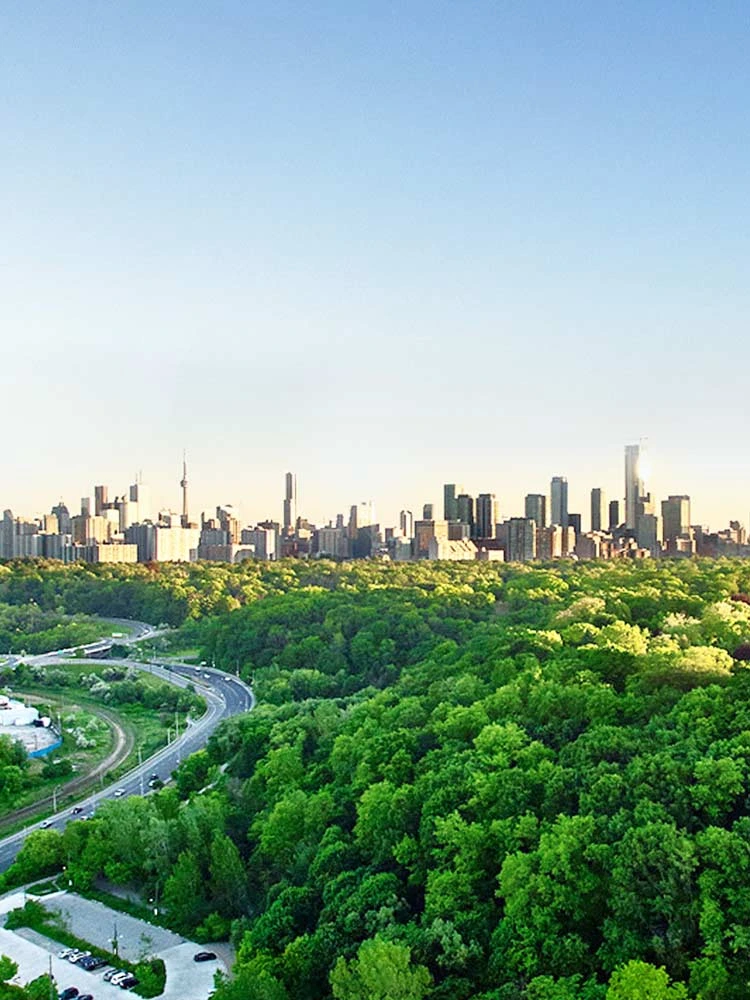 Deserts to Green Land in 50-70% Less Water