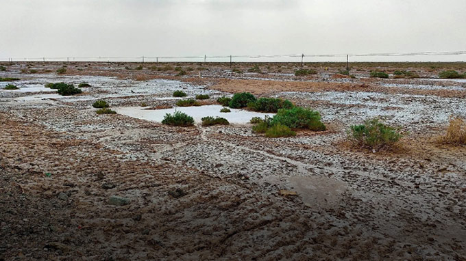Contrôle du désert de sel