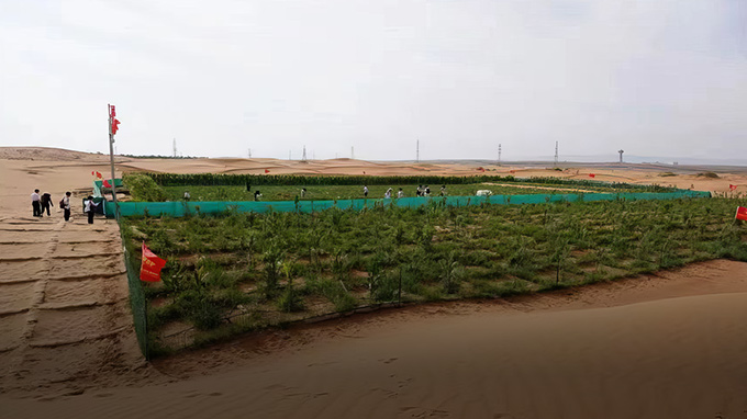 Solutions de lutte contre la désertification