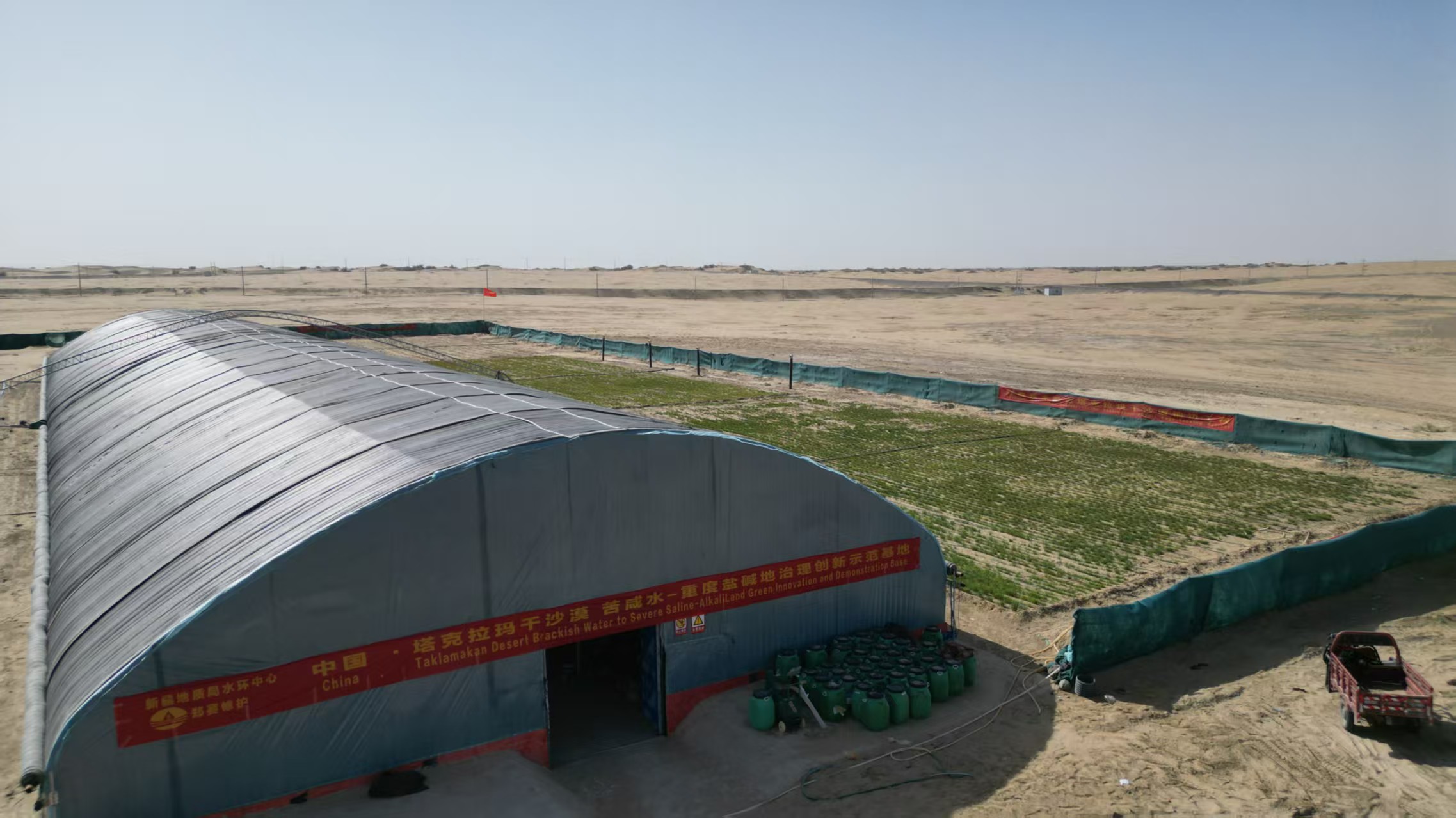 Miracle: le blé survit Six mois sans eau dans le désert de Taklamakan au Xinjiang